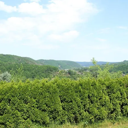 Moin Eifel